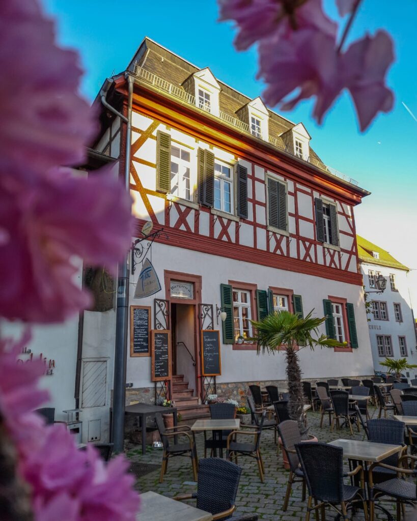 2026-02-06-21-32-59-picture