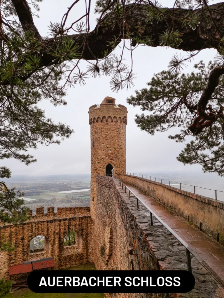 best_of_hessen_1770111120715