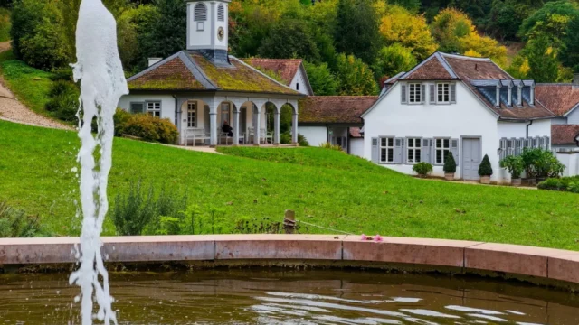 best_of_hessen_1770111121522