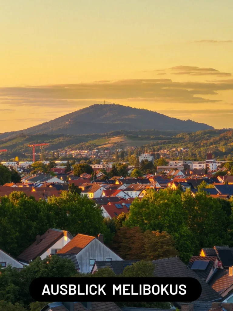 best_of_hessen_1770111123888