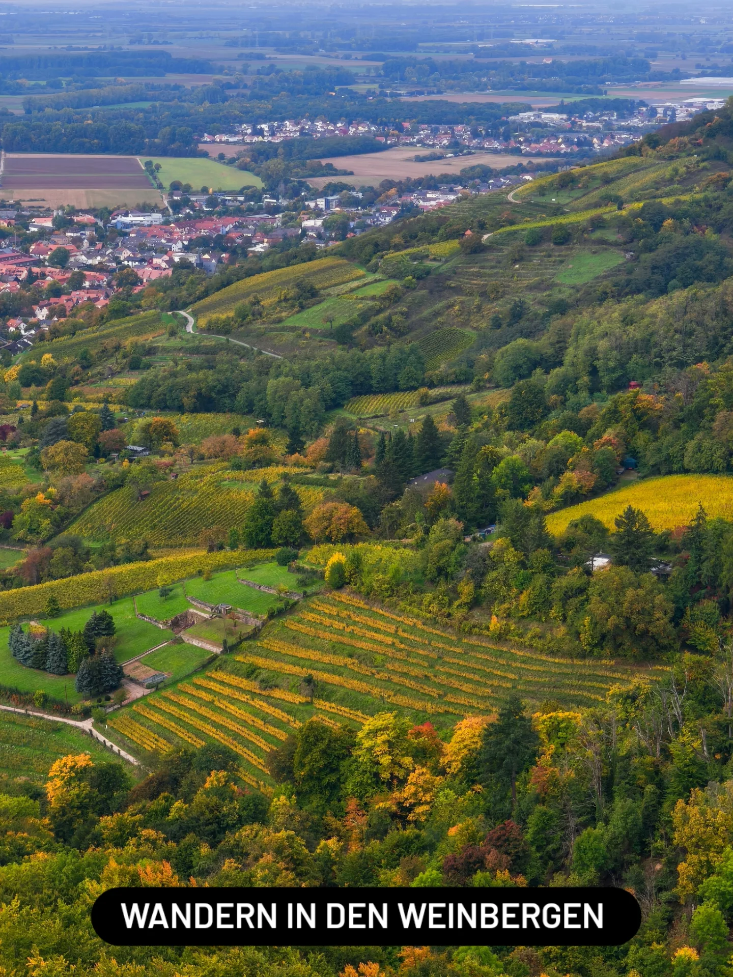 best_of_hessen_1770111124604