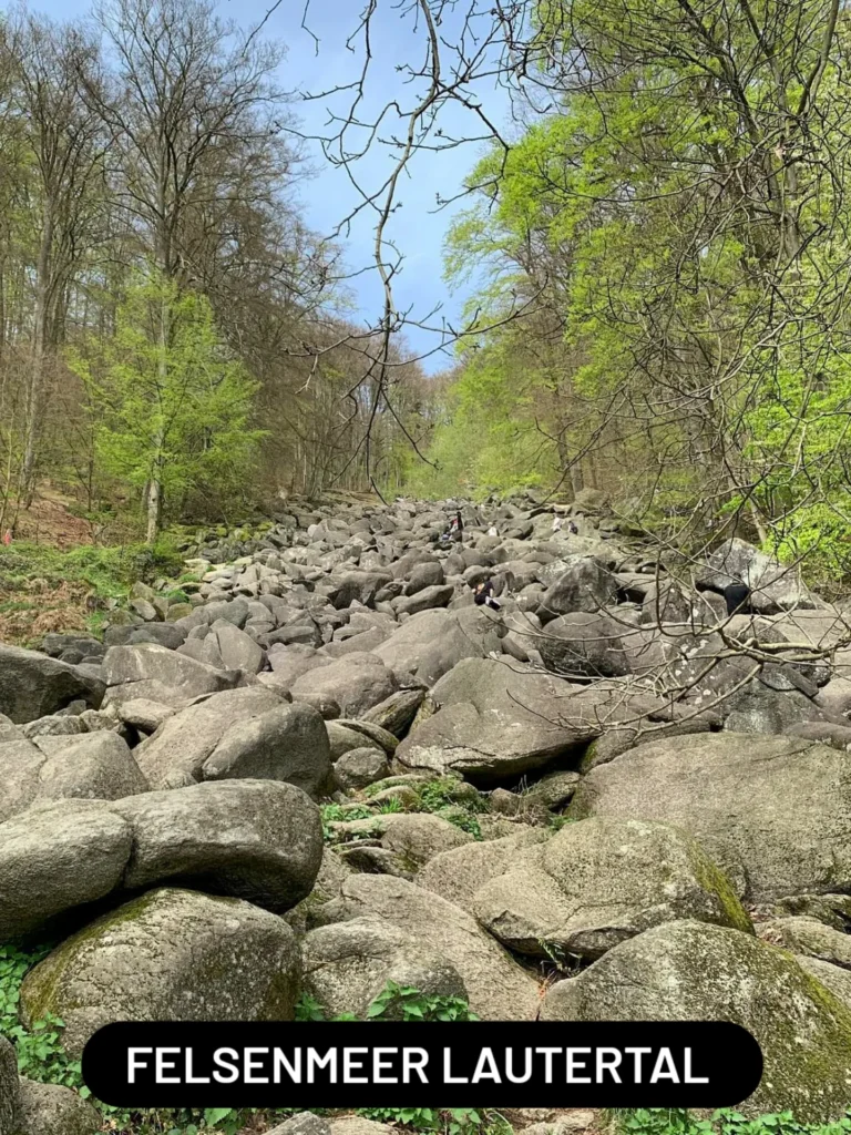 best_of_hessen_1770111125980