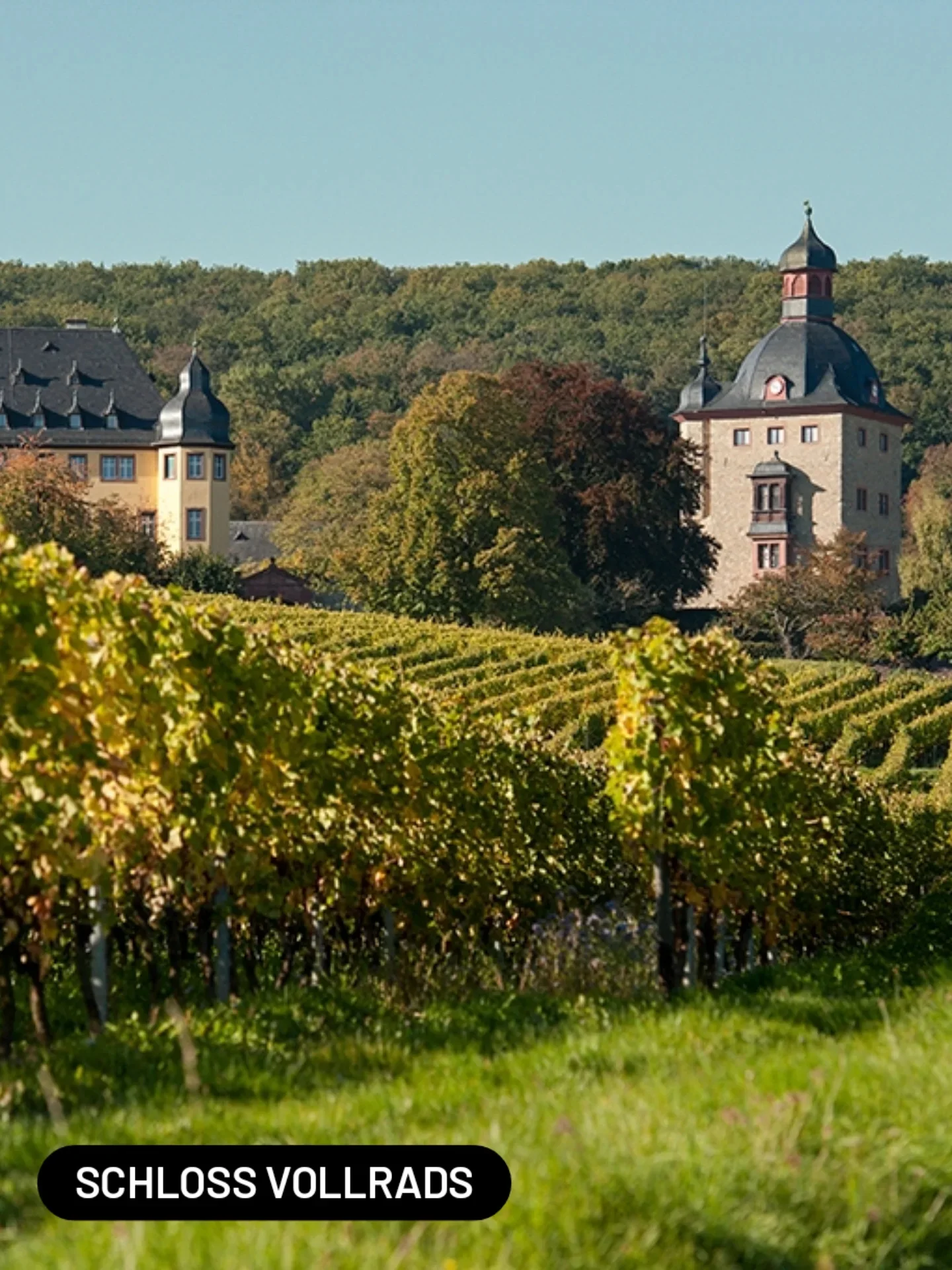 best_of_hessen_1770111154279