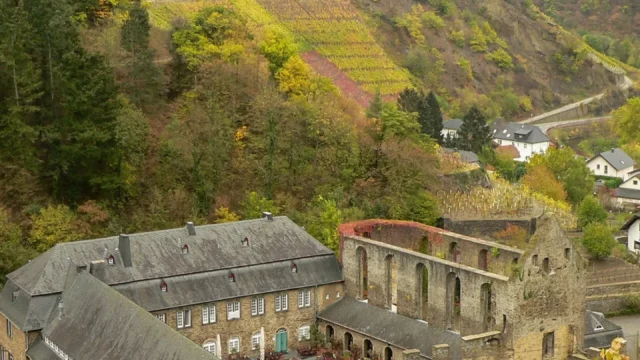 best_of_hessen_1770111157189