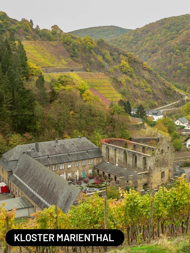 best_of_hessen_1770111157189