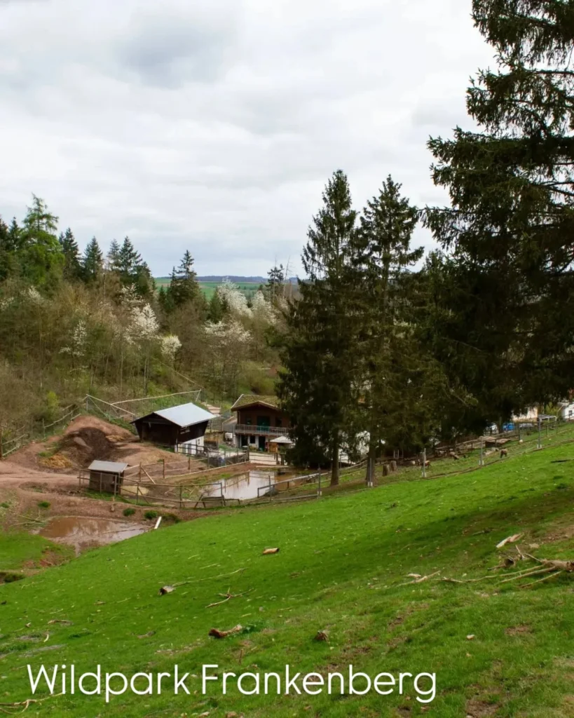 best_of_hessen_1770111646382