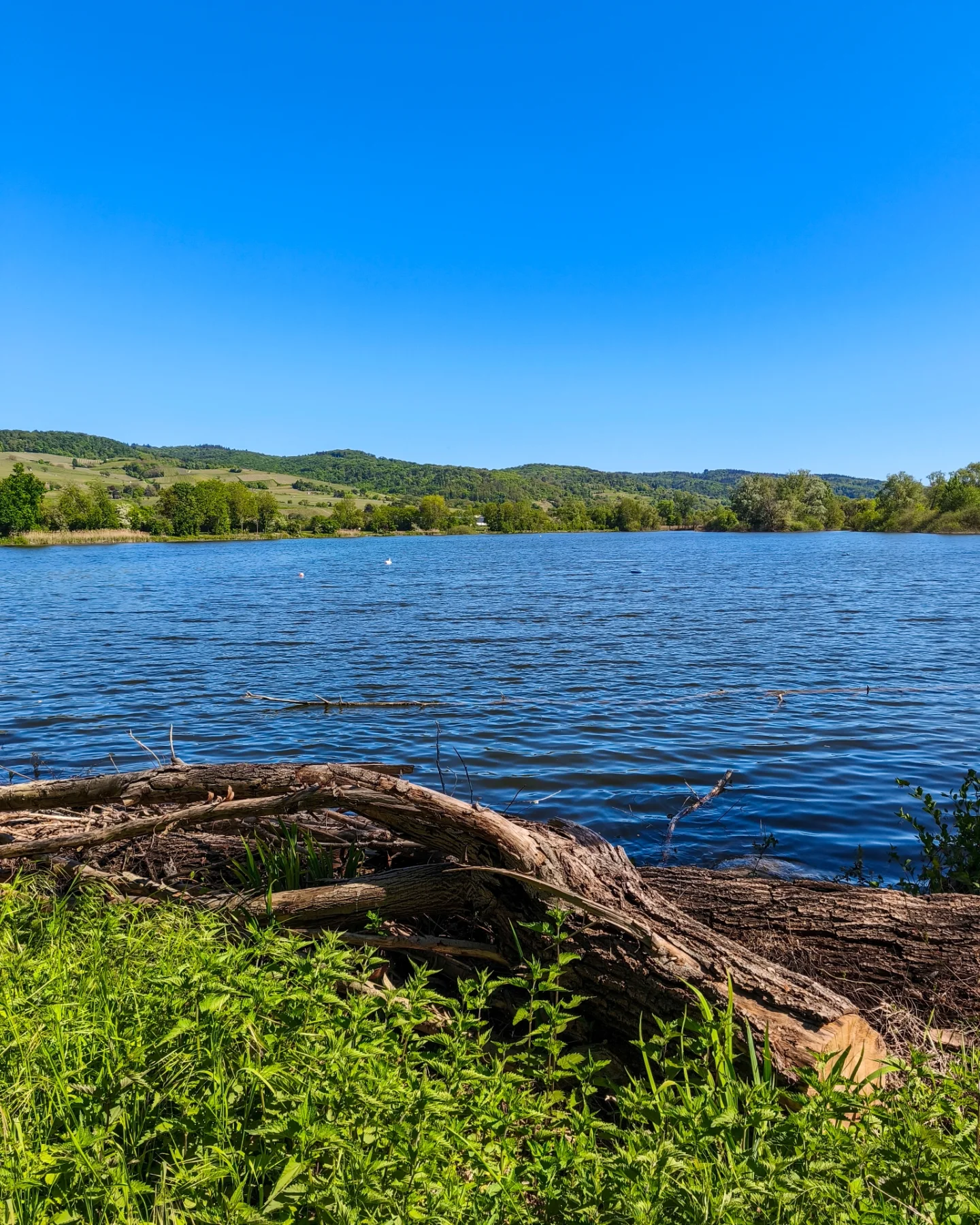 Naherholungsgebiet Bruchsee